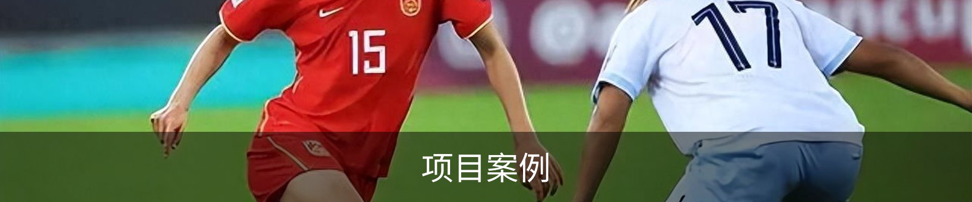项目案例